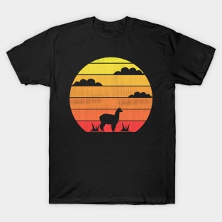 Summer Sun Alpaca Llama T-Shirt